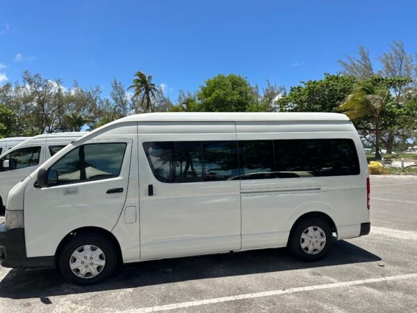 Private Taxi Tours in Nassau